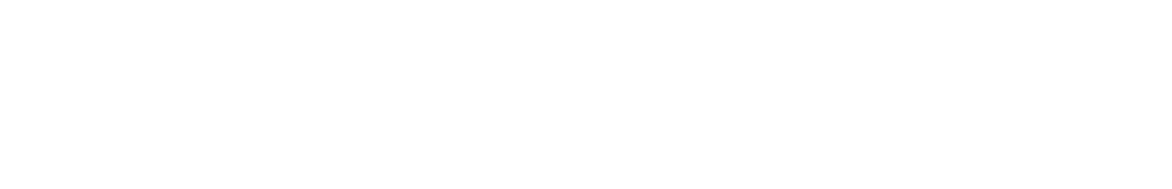 Logo_DigiCommerce